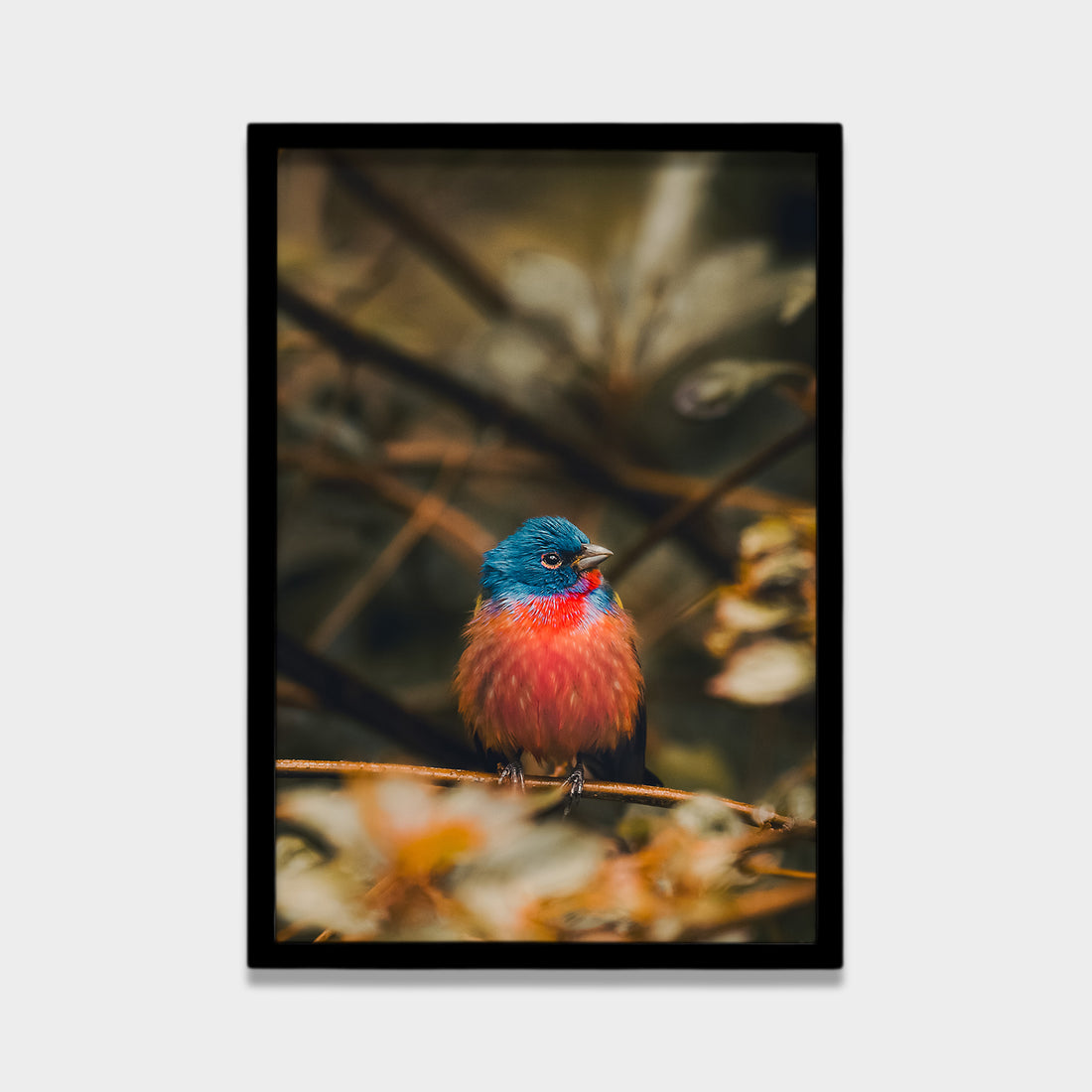 Stillness in Color