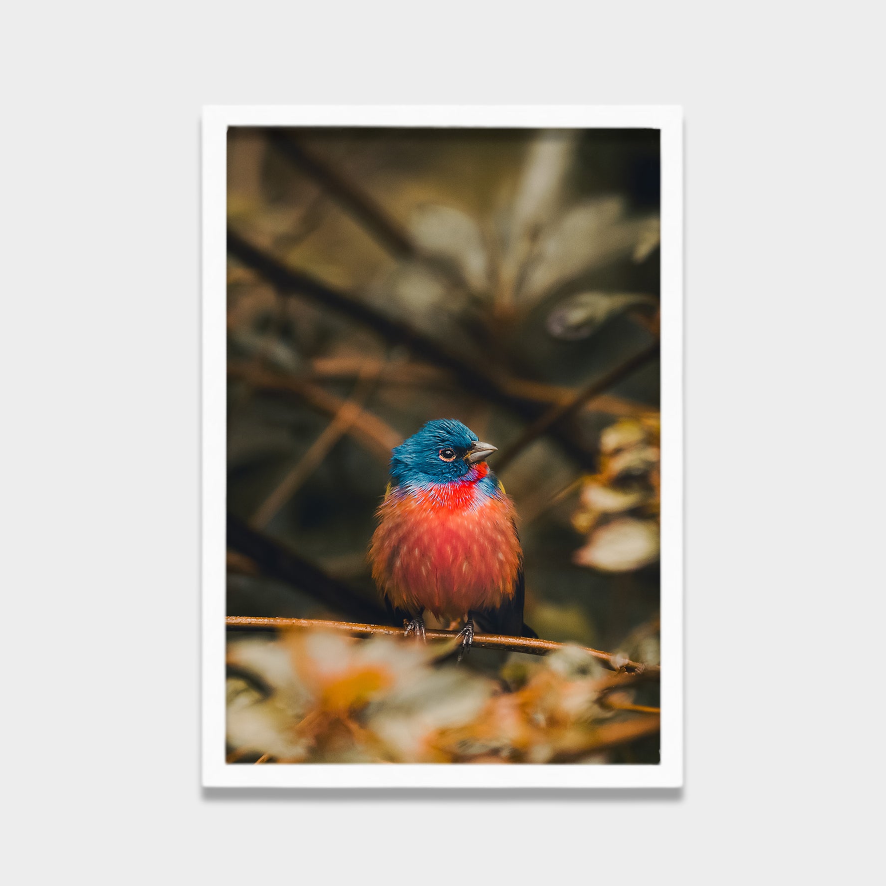 Stillness in Color