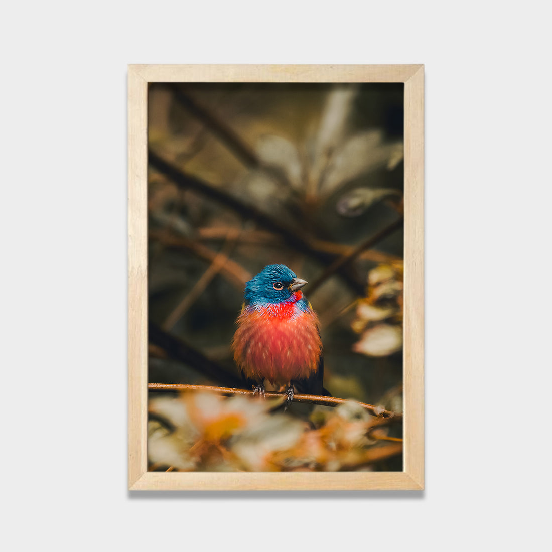 Stillness in Color