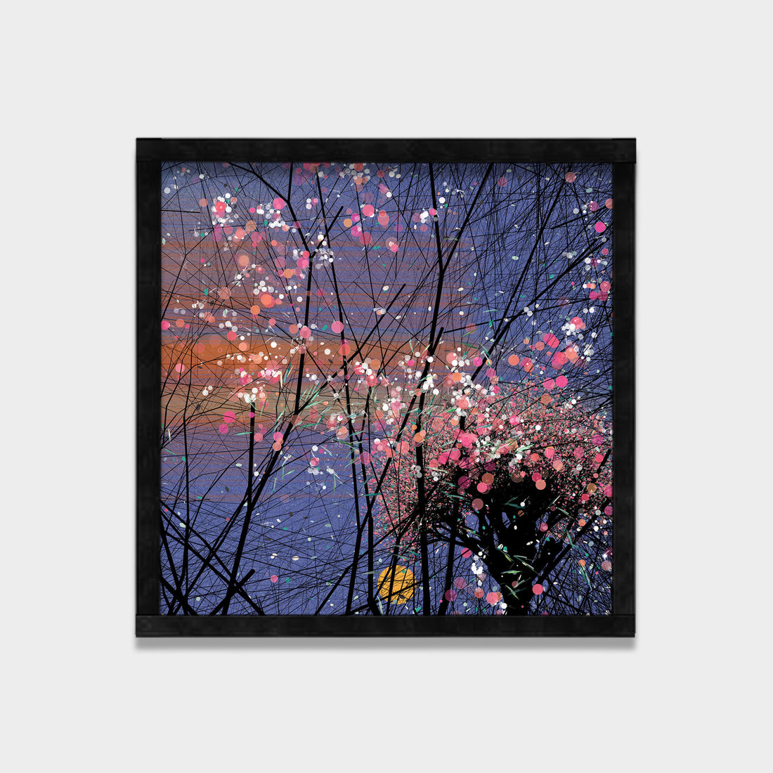 Bloom Night