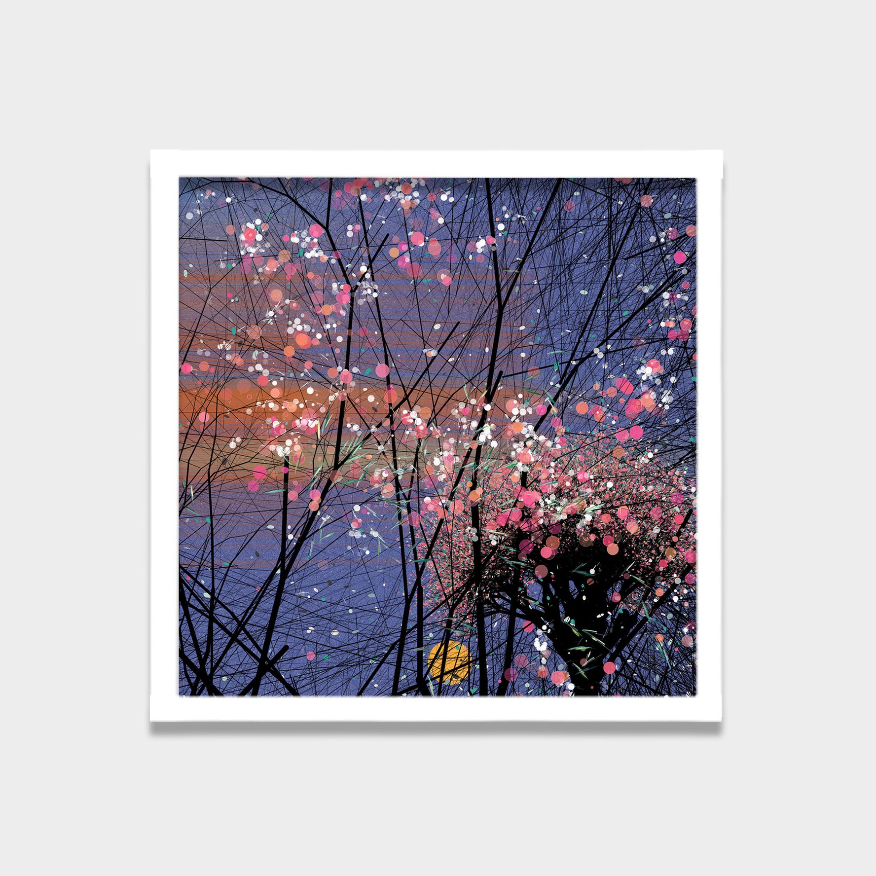 Bloom Night