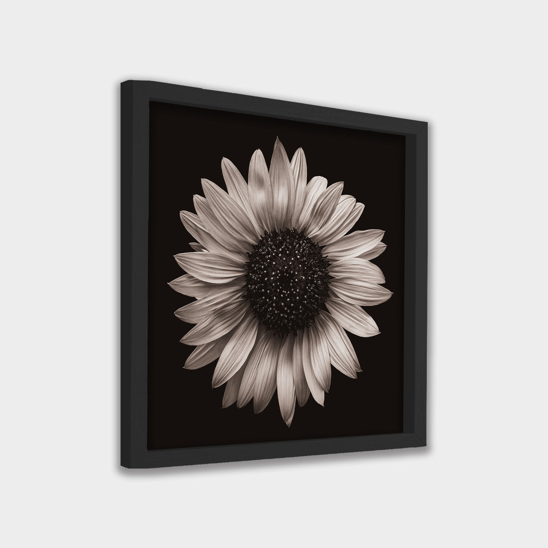 Silent Bloom
