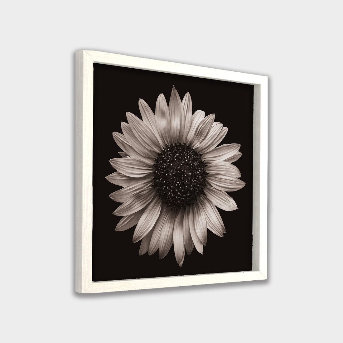 Silent Bloom