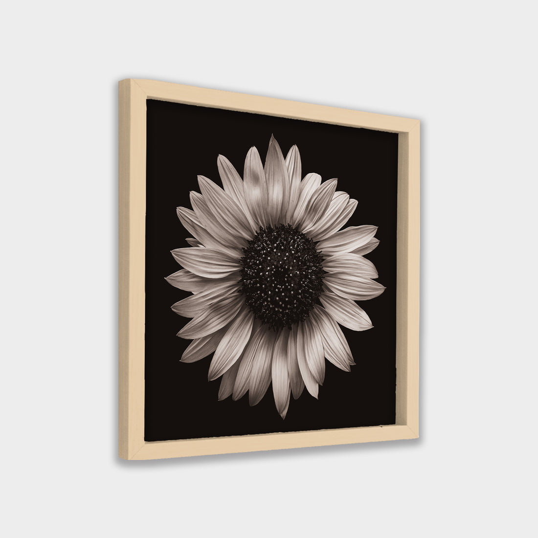 Silent Bloom