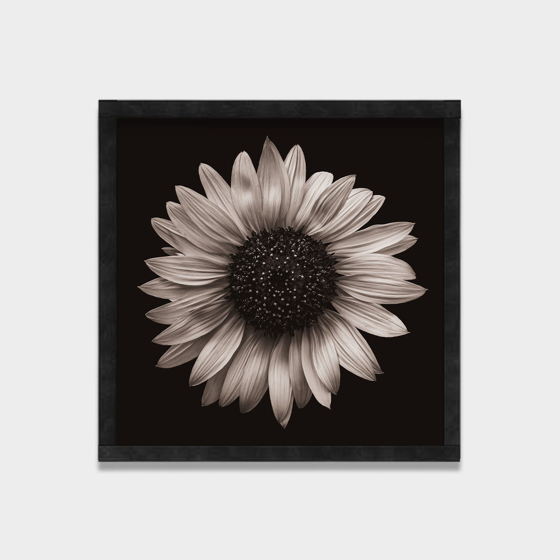Silent Bloom