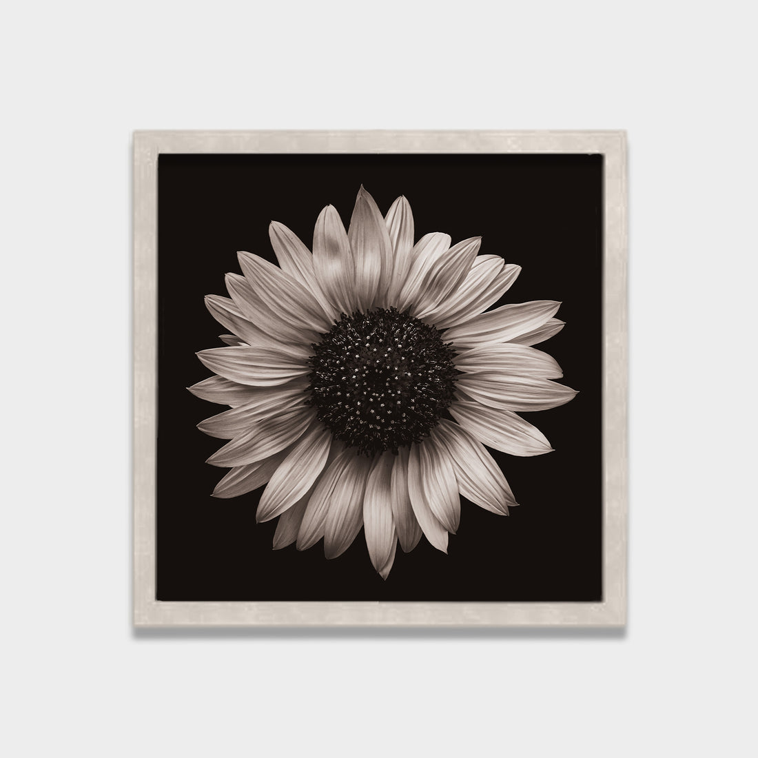 Silent Bloom