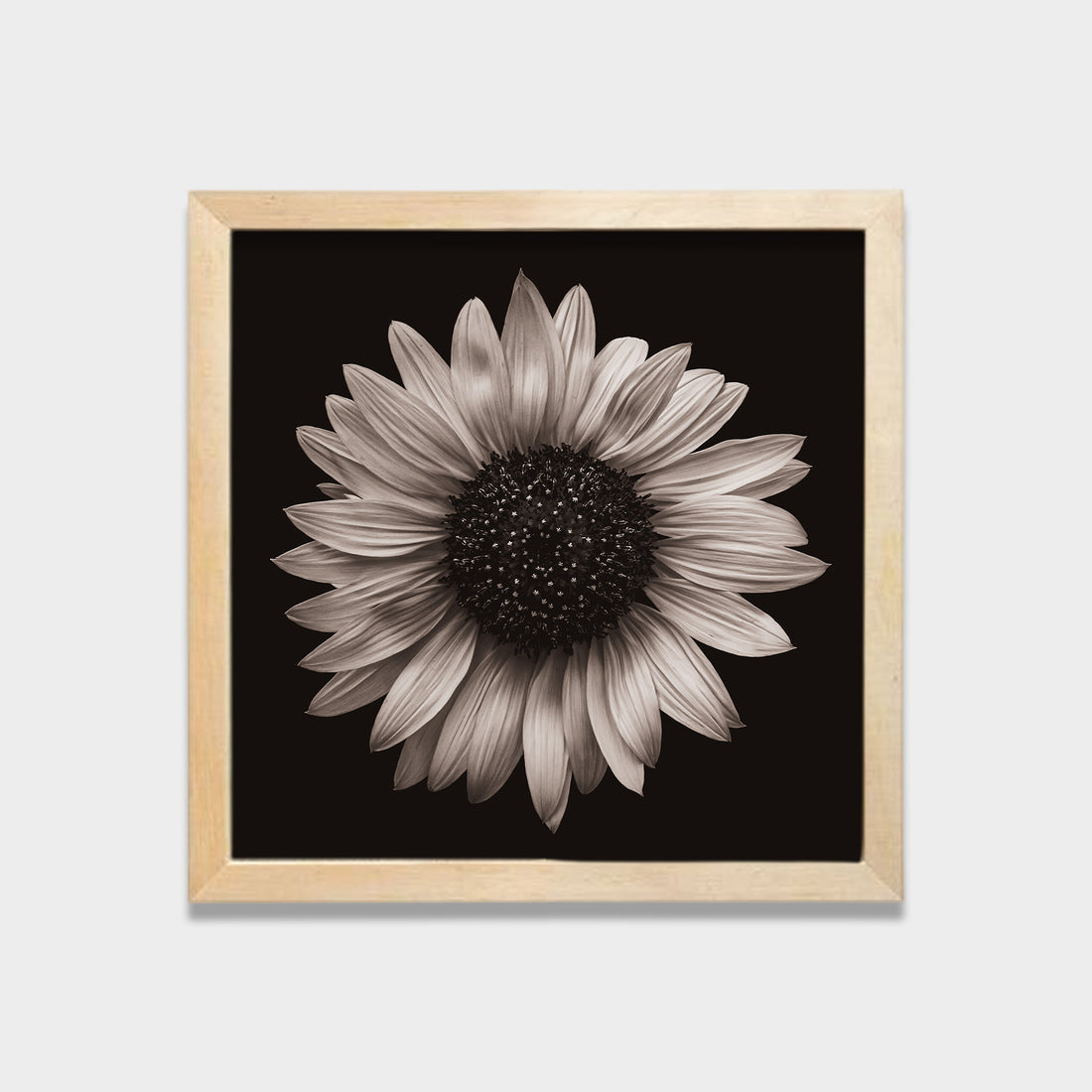 Silent Bloom