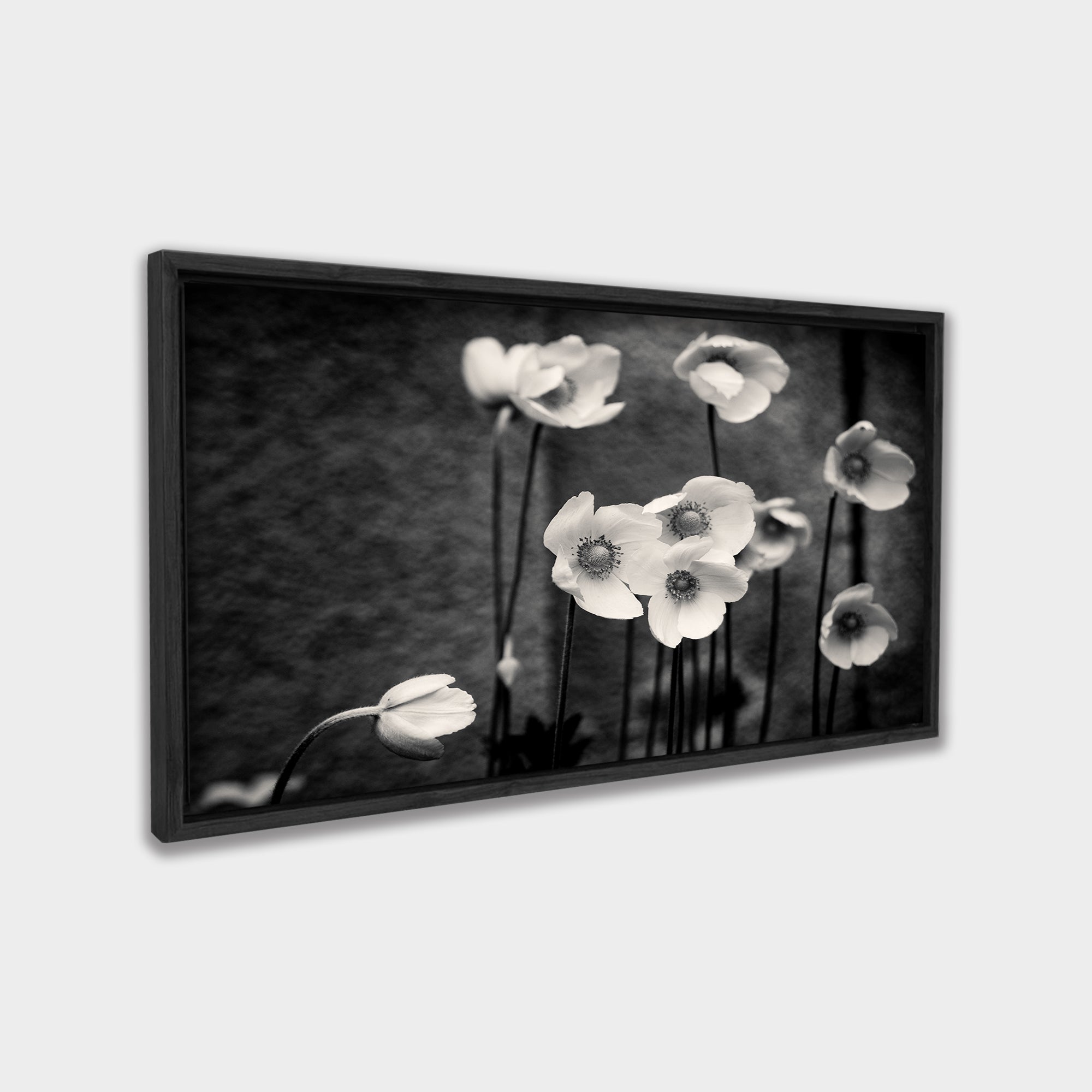 Soft Bloom black & white canvas wall art by Anantkala