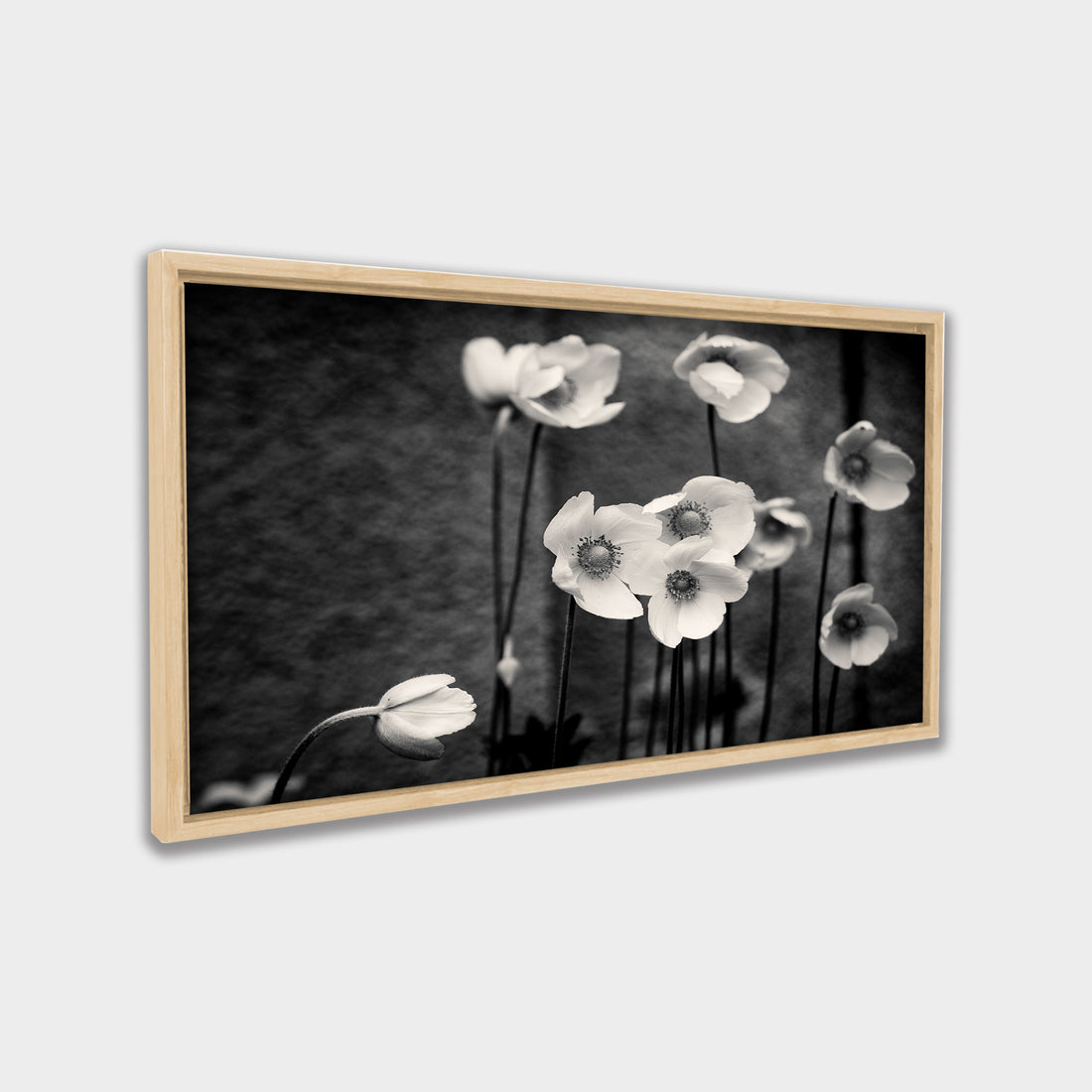 Soft Bloom black & white canvas wall art by Anantkala