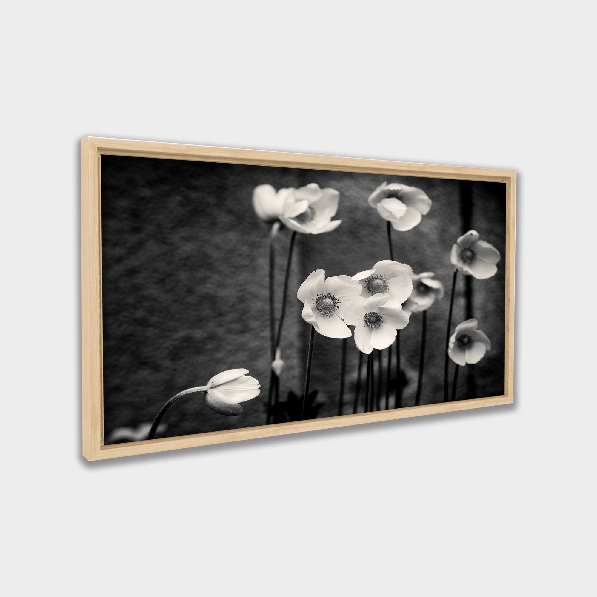 Soft Bloom black & white canvas wall art by Anantkala
