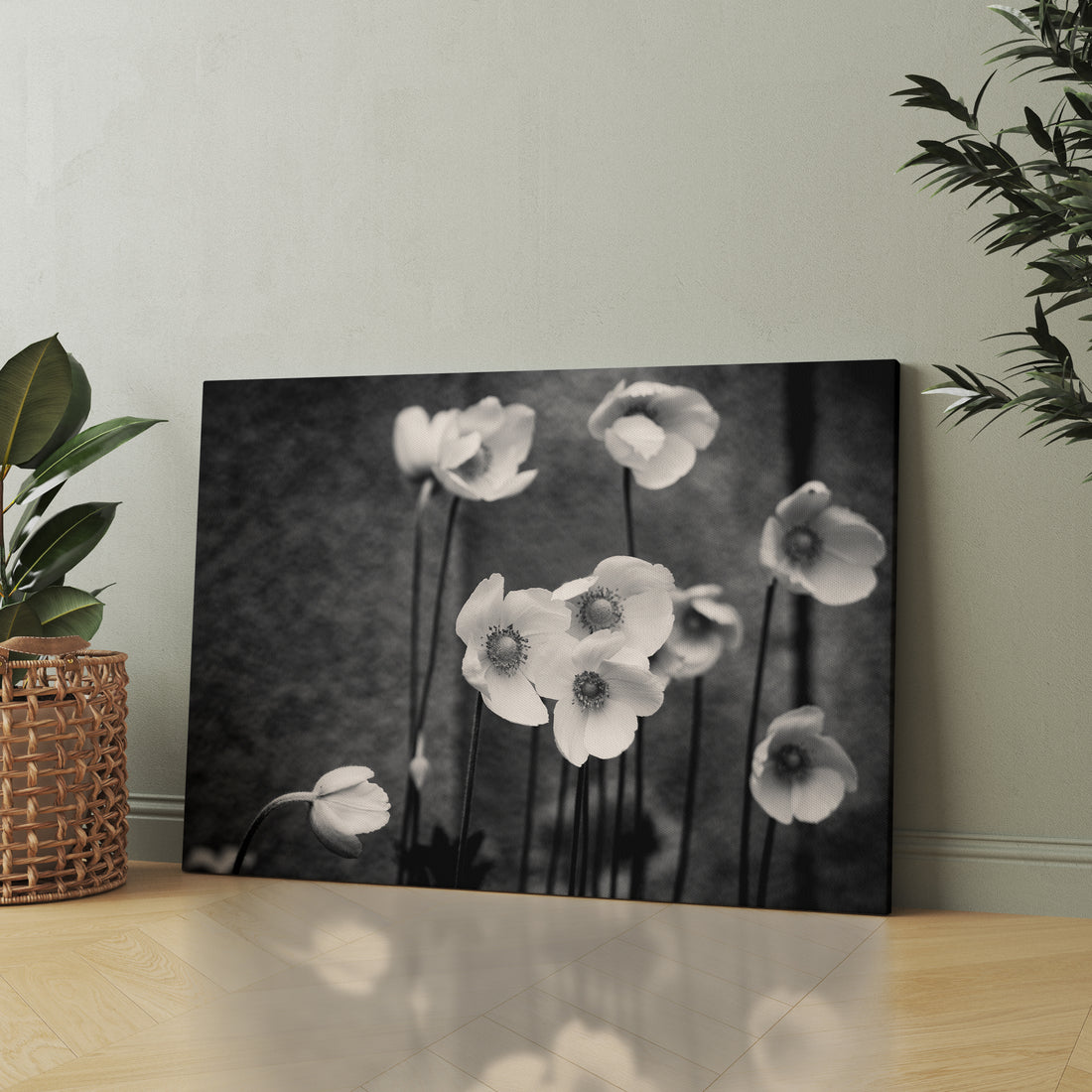 Soft Bloom black & white canvas wall art by Anantkala