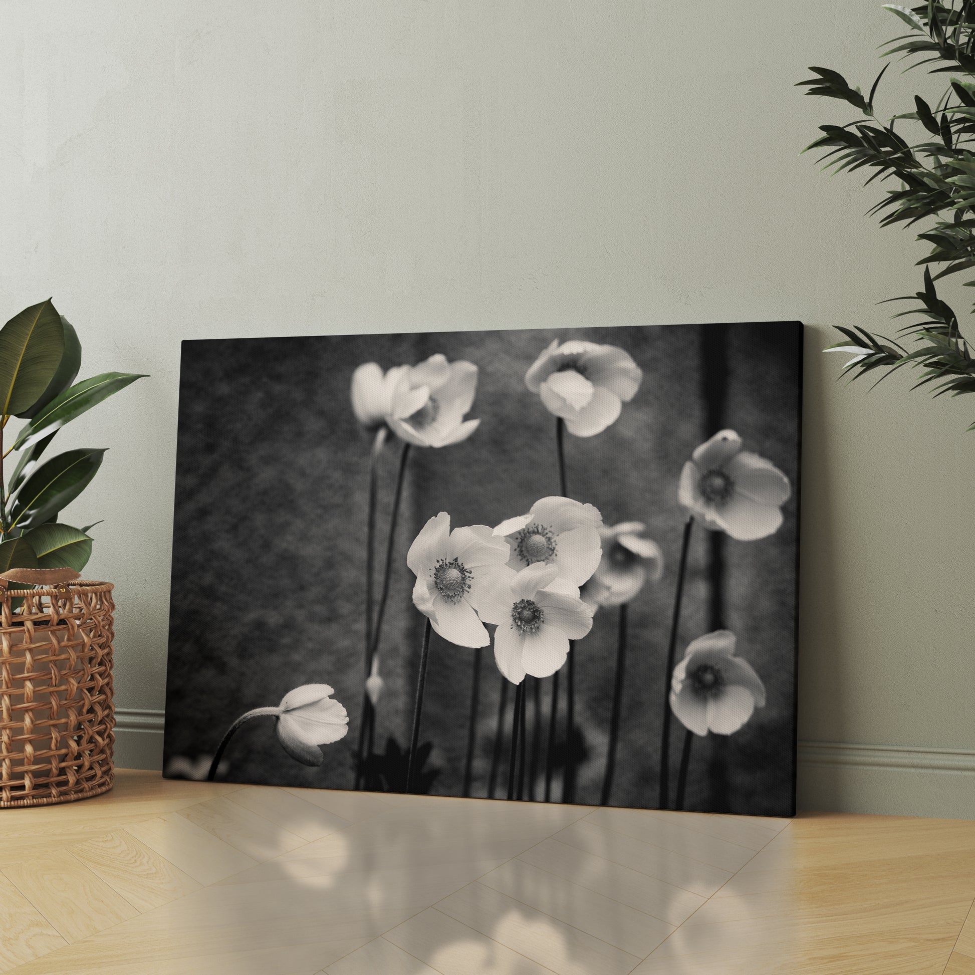 Soft Bloom black & white canvas wall art by Anantkala