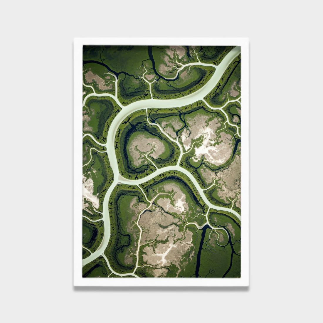 Living Rivers