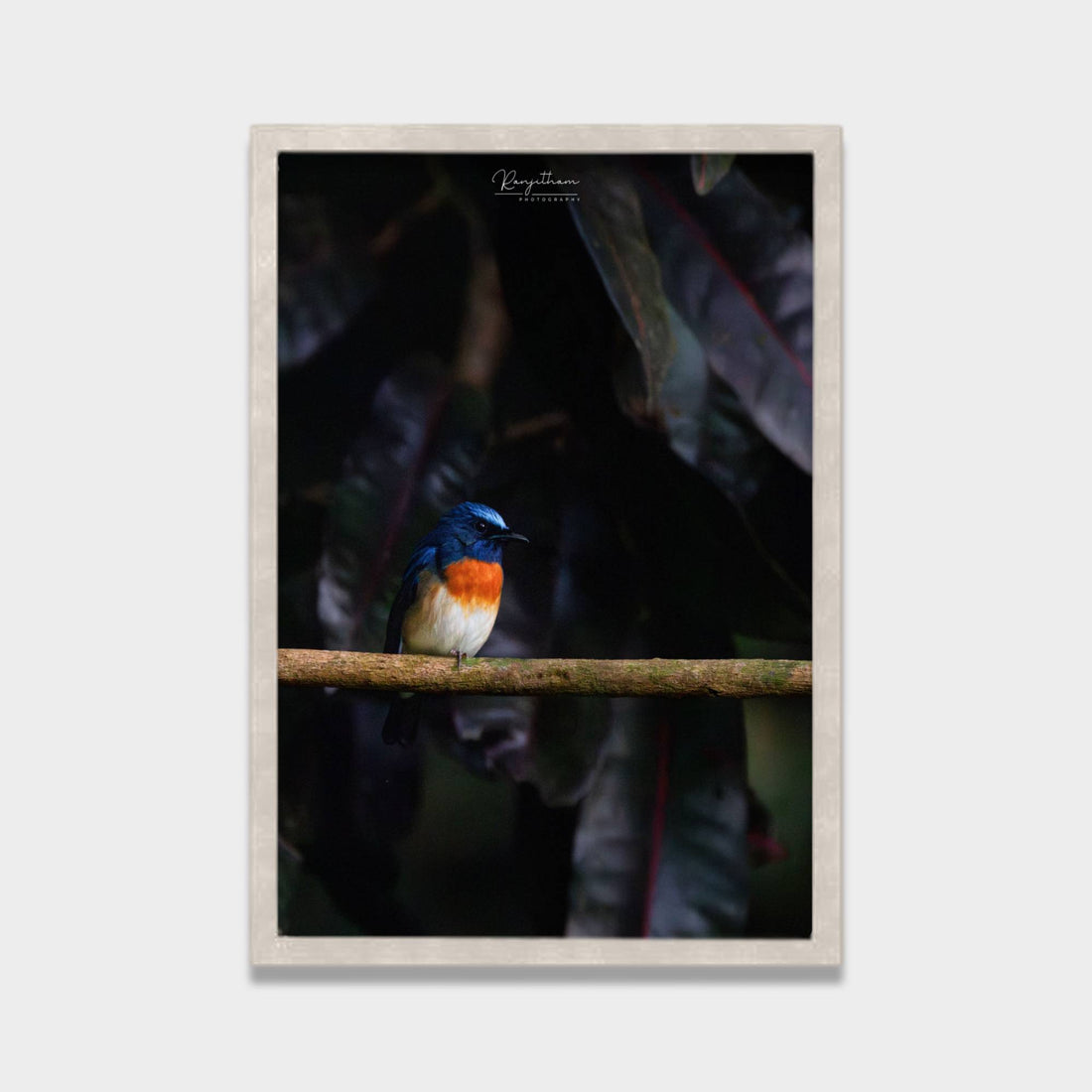Forest Jewel