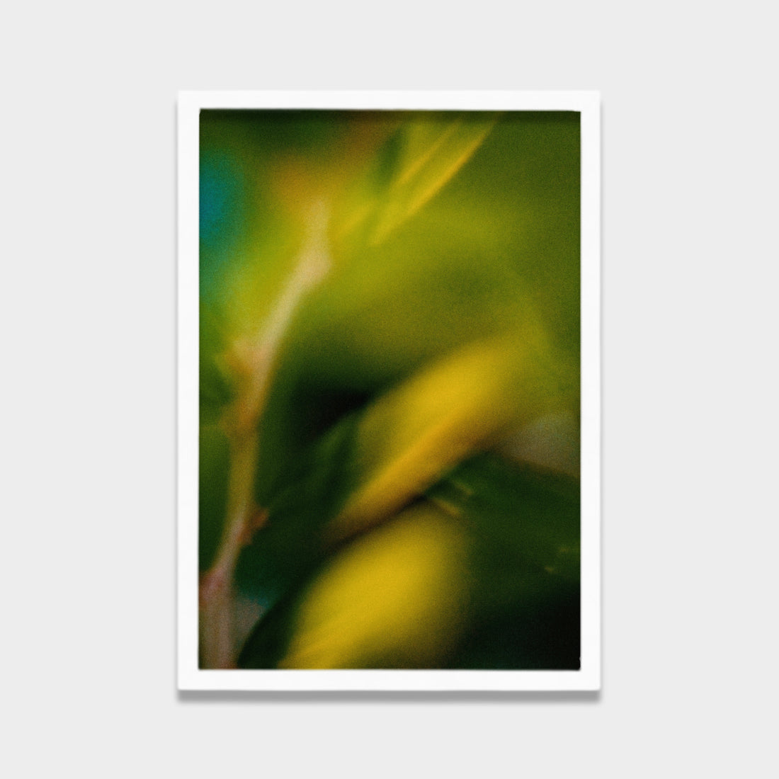 Whispers of Green Light