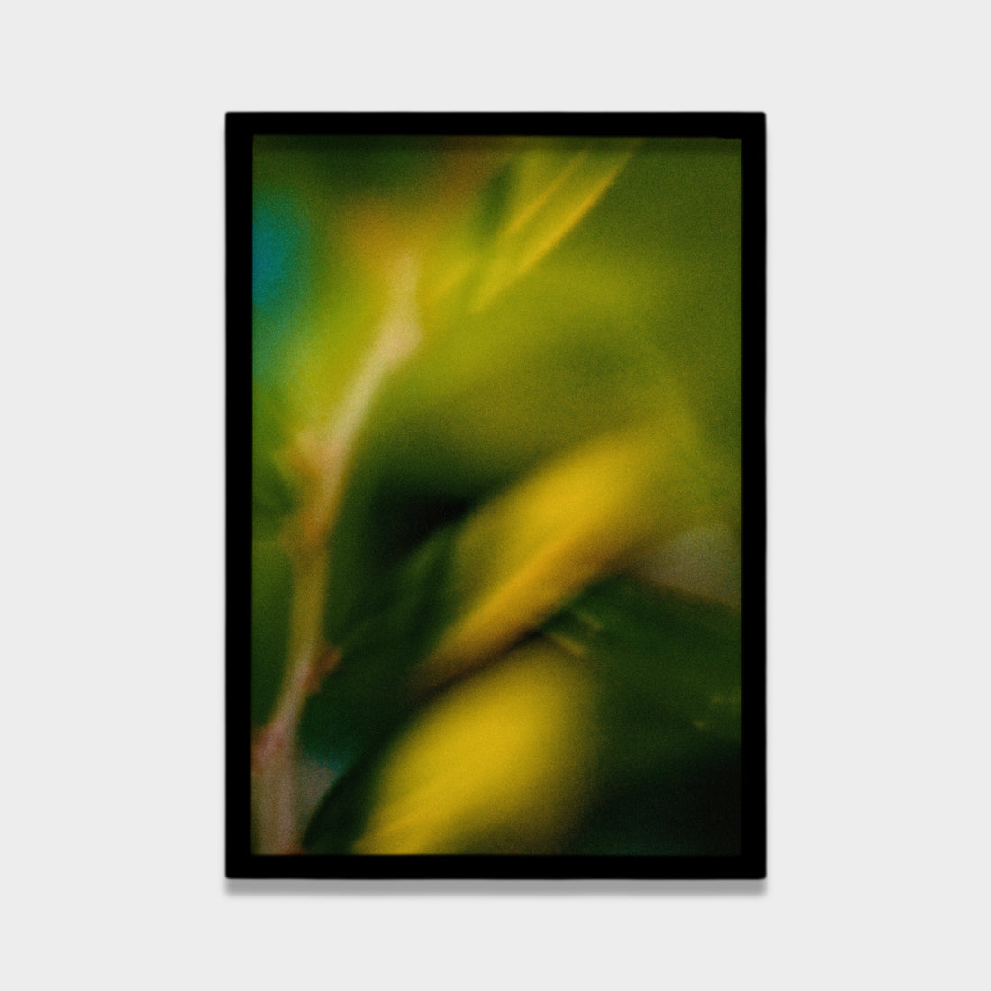 Whispers of Green Light