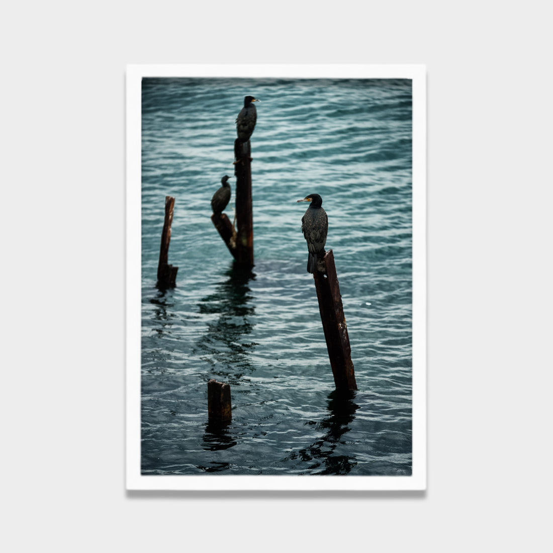 Silent Watchers
