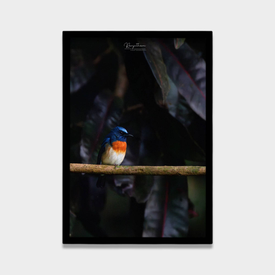 Forest Jewel