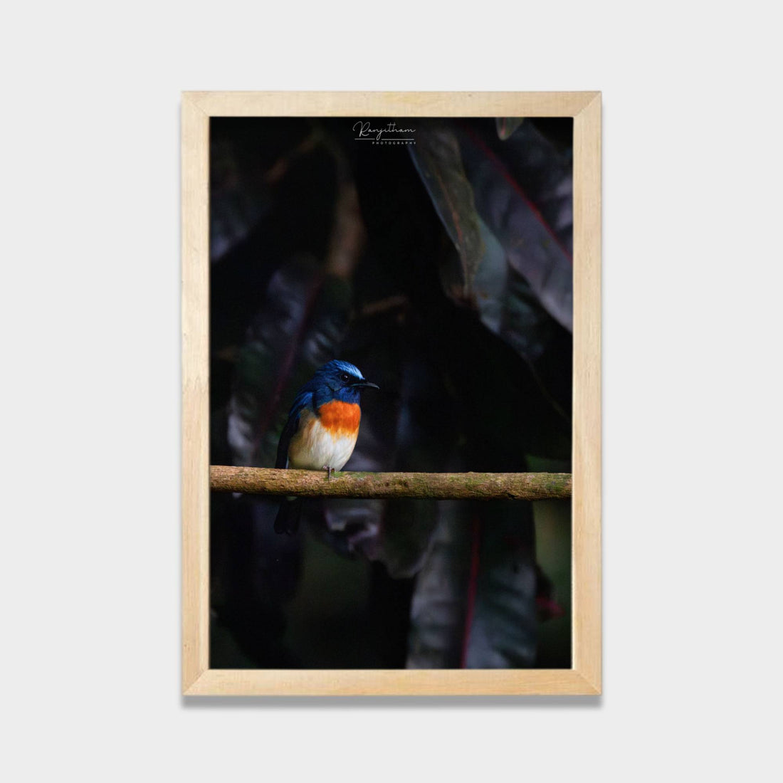Forest Jewel