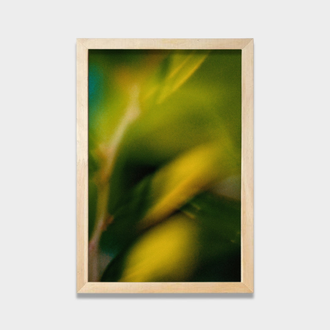 Whispers of Green Light