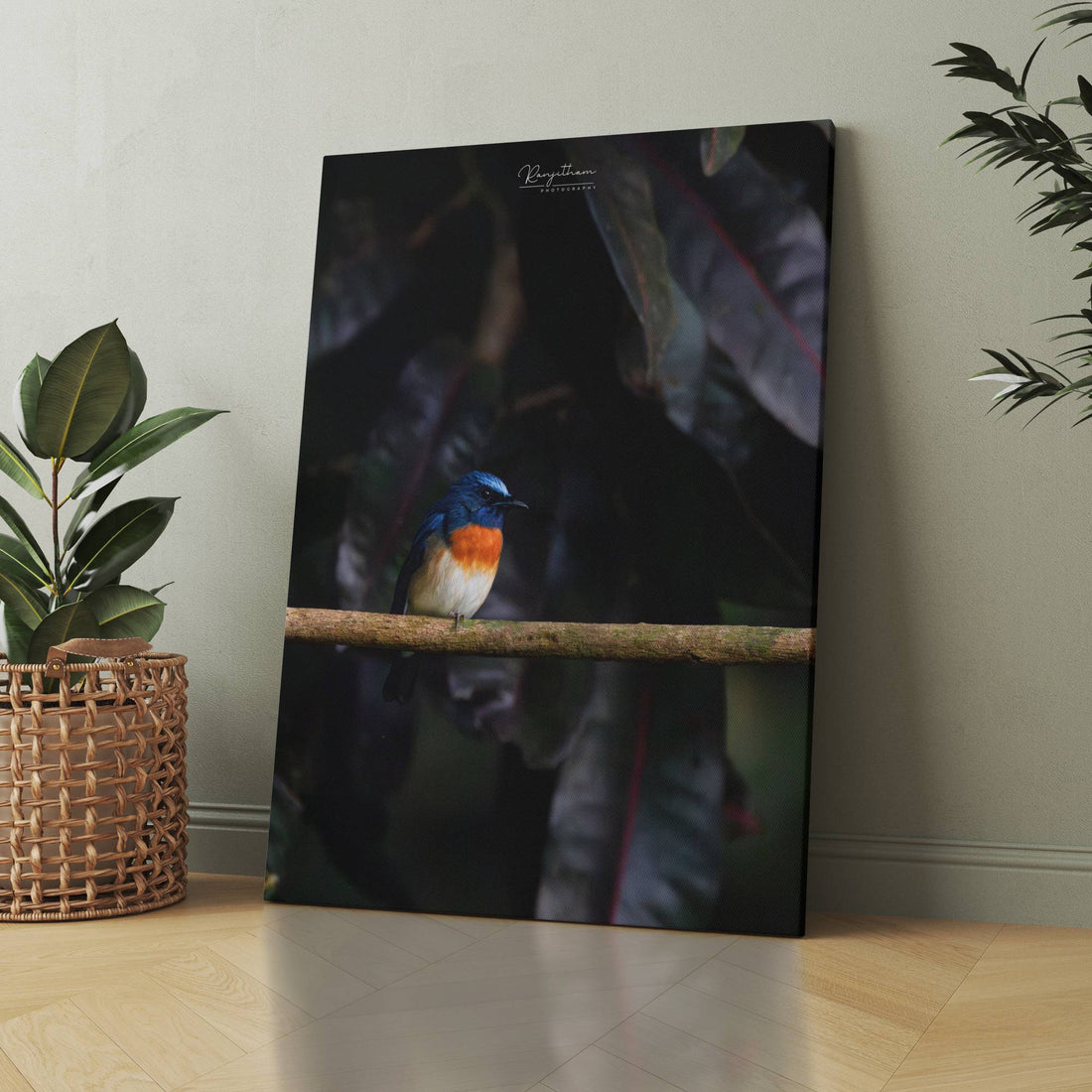 Forest Jewel