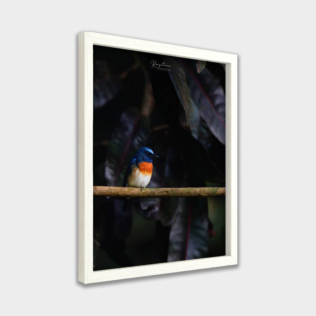 Forest Jewel