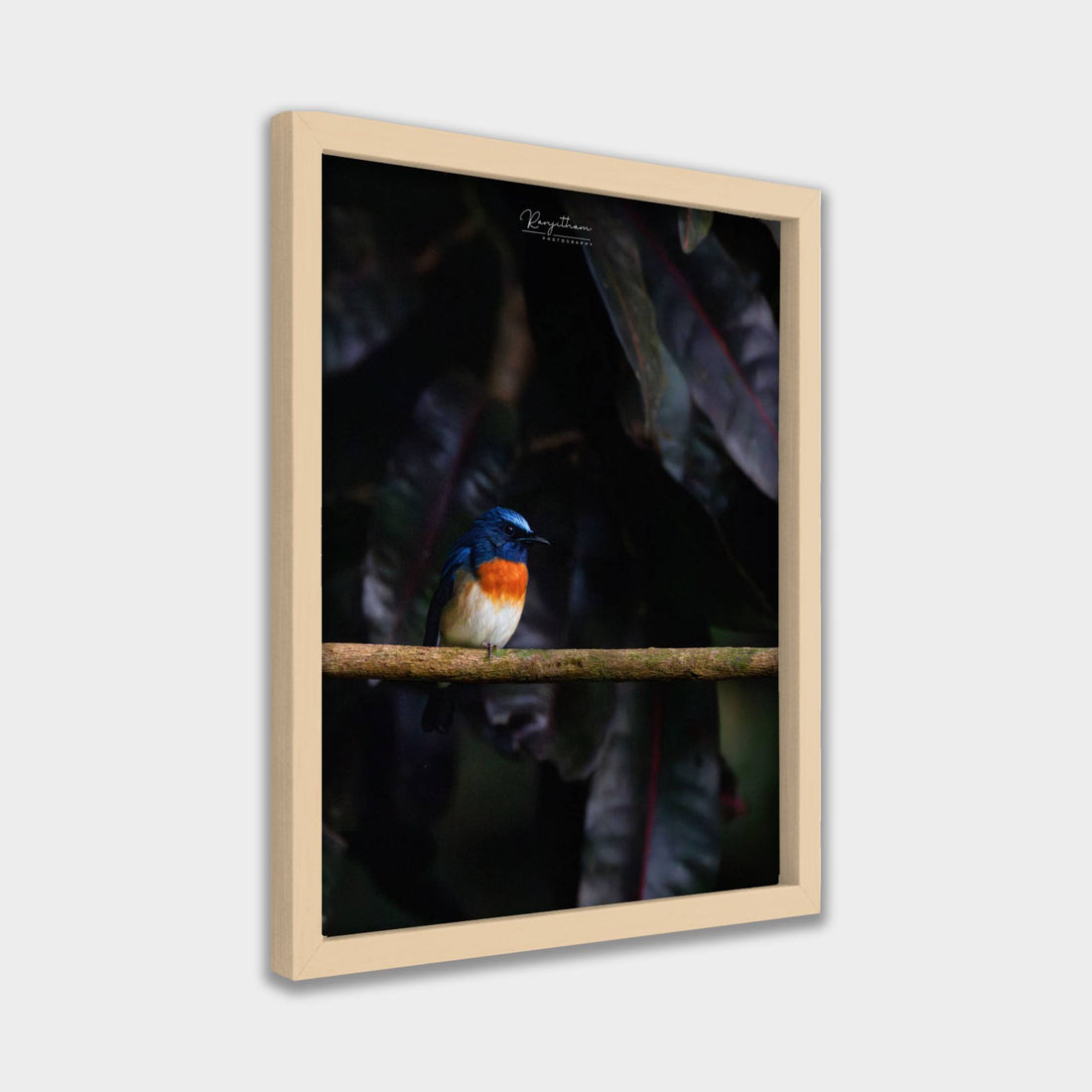 Forest Jewel