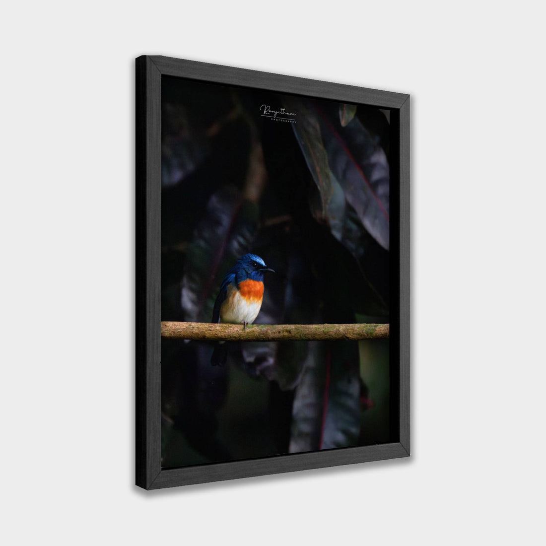 Forest Jewel